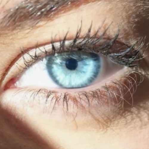 "Mon ami du Liban"  Charléza Refaeli