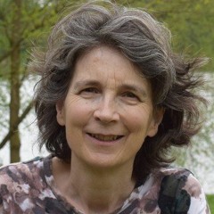 Sheena Phillips (b. 1958) The Christmas Bird