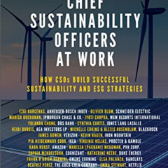 VIEW KINDLE 🖊️ Chief Sustainability Officers At Work: How CSOs Build Successful Sust