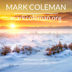 Meditating in Winter on Fallowness and Rest
