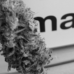 Krunch Weed