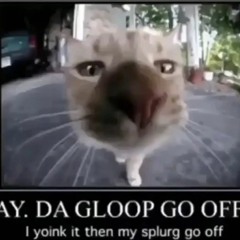 did the gloop go off?