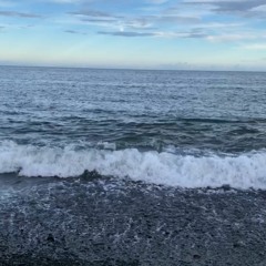 波よせて（cover）