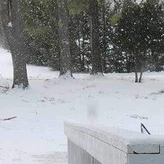 snowman snowbands (killedmyself)