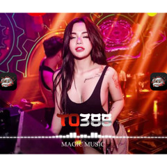 TO388 VinaHouse Mandarin Vol 1 by Aceng