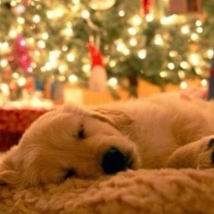 03 God Rest You Merry, Gentlemen ( Acoustic Guitar) - Steve Erquiaga