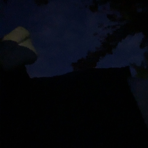 1oneam - loveiswar4l snip