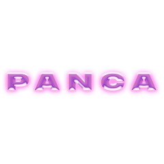 [PANCA EXP] @ function.fm