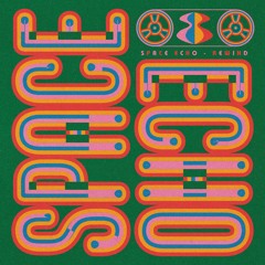 Space Echo - Party Together