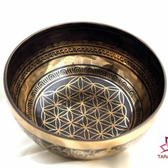 SB231094 - 22D Flower Of Life（超美音）741Hz