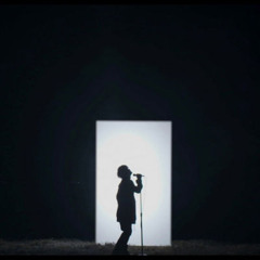 The Inevitable Downfall of My Career