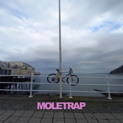 Taffy (Flags of Aber Prom)