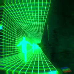 POLYGON - Medame