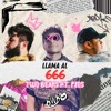 Two Bears - Llama Al 666 (ft. PLOS) artwork