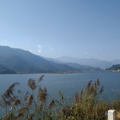 Shayad - Skalappa Cover