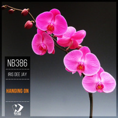 Iris Dee Jay - Hanging On (Original Mix)