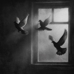 Alireza Ghorbani x Mohsen Chavoshi x Hushang Ebtehaj Nayamadi Mahi Slowed&Reverb Remix