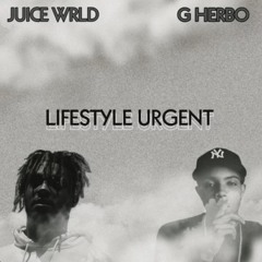 2 Seat (Lifestyle Urgent)