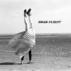 SWAN-FLIGHT || 4-beat yoga mix