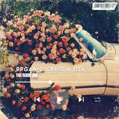 Organic Cruis'n 2