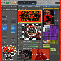 Projet 1528 UnkNowProd M.R. FEAT WESTSIDE GUNN & FREDDIE GIBBS 70 BPM MAST. L.P.