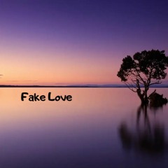 Fake Love (Prod. BeatsBySol 4)