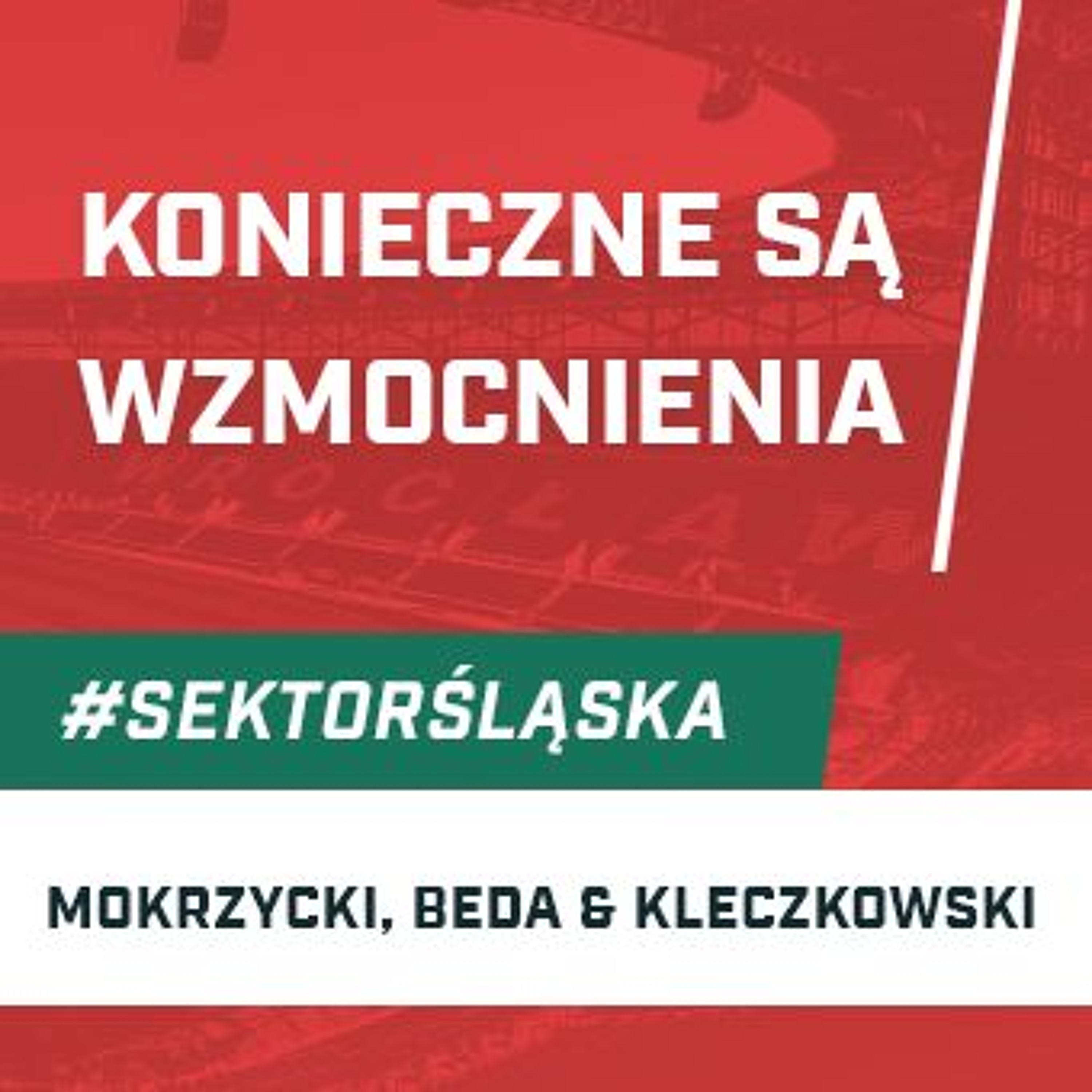 Śląsknet