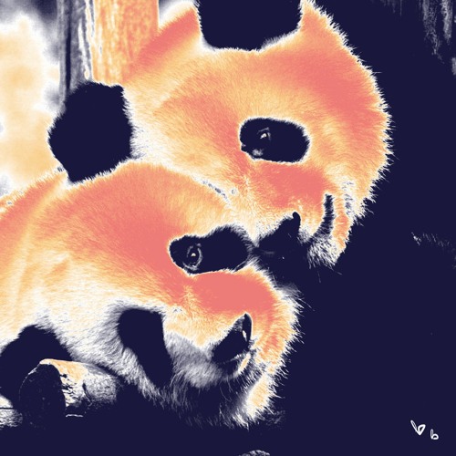 More Pandas