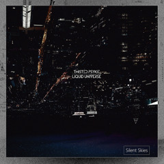 Silent Skies (Feat. Liquid Universe)