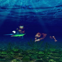 Donkey Kong Country 1 - Aquatic Ambience (150 Jungle Remix) By Tomoyoshi
