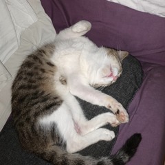 Décollage immédiat🙃