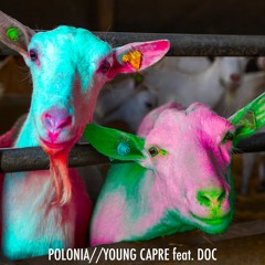 POLONIA//YOUNG CAPRE feat. DOC prod. @layers.default+@ace.wh