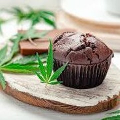 Jungle Space Cake