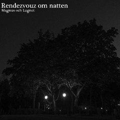 Rendezvouz om natten