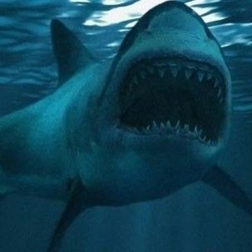 Freya SHARK ATTACK 02