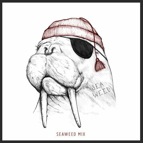 SEAWEED MIX011: Mihai Popoviciu