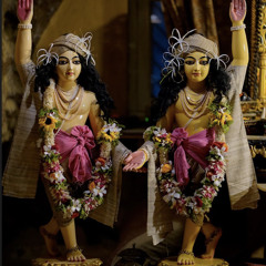 Nimai Gadhvi - SSP 13/04/24