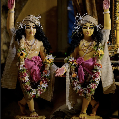 Nimai Gadhvi - SSP 13/04/24