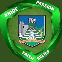 "A Million Dreams Limerick-Style" Sang by Megan Ahern