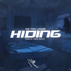 Hiding (feat. Primo Beats)