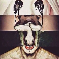 american horror story