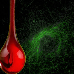 touching:reaching