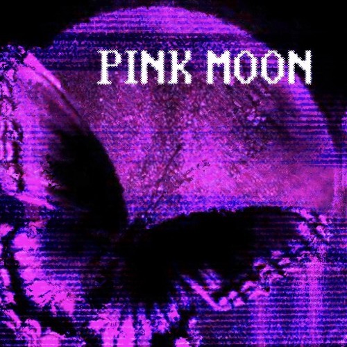 BANDIT prod. rollie