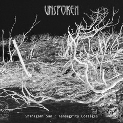 unspoken session N° 55 with Shinigami San: Tensegrity Collages
