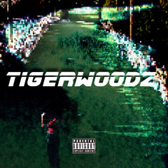 Tiger Woodz