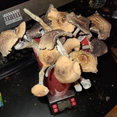 CAPS (BIGCHINOLOK LEFT$IDE DON)