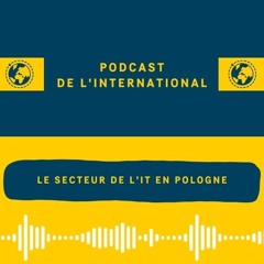 #15 Le secteur des technologies de l'information et de la communication en Pologne