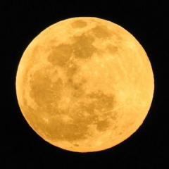 YELLOW LIKE THE MOON - Walk / Benjamin Diss Track