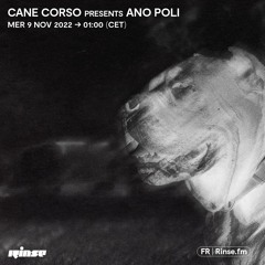 Cane Corso presents Ano Poli - 09 Novembre 2022