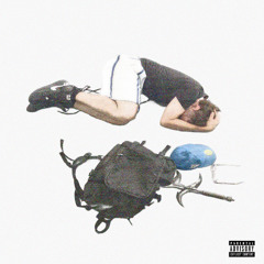 molar_scan_vendr_cleb